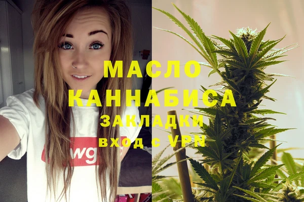молекула духа Арсеньев