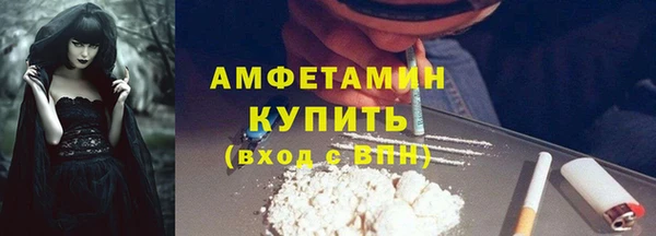 молекула духа Арсеньев