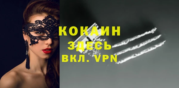 молекула духа Арсеньев