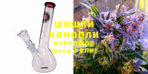 молекула духа Арсеньев