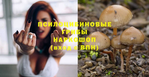 PSILOCYBIN Армянск