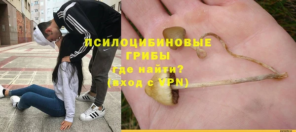 PSILOCYBIN Армянск