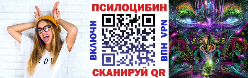 цены наркотик Рошаль Псилоцибиновые грибы Psilocybe